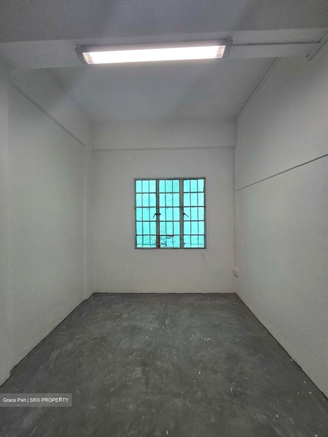 Carlisle Road (D8), Office #500574761